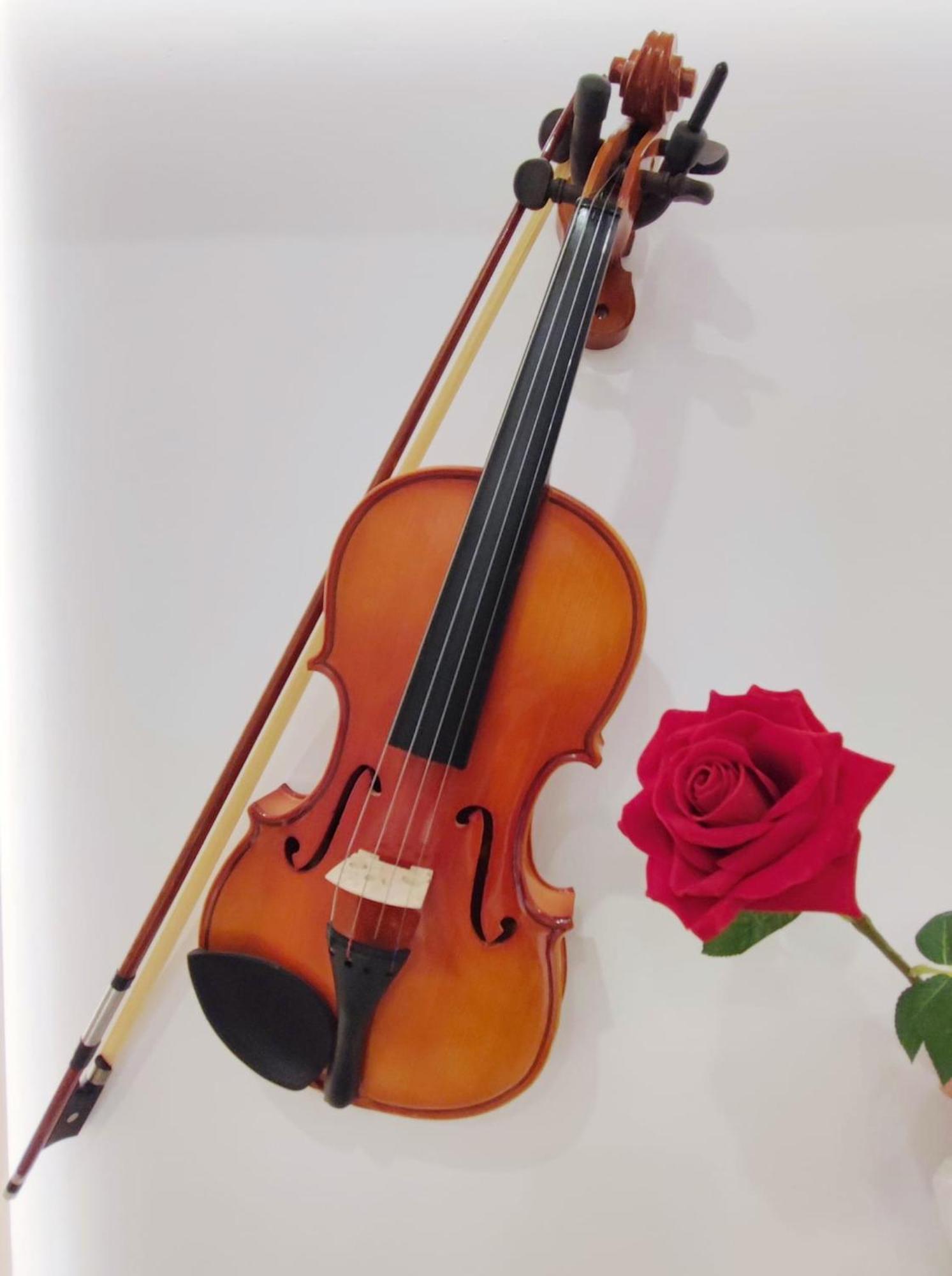 Arena Concert Concerto Love - Historic House Amorino At "Palazzo Tiolo" Palace Verona Kültér fotó